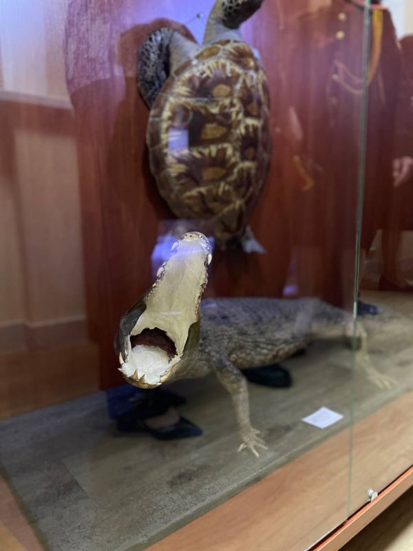 ��� ���� ���������� ��������- ������ ���������