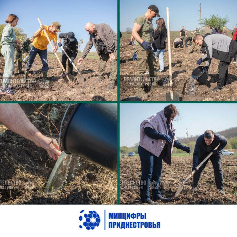 ����������� �������� ��� ������� ������� � ����� �� ������� ��������