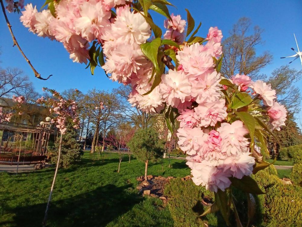 ��� �������� ��������� ����� �� ����� �� � ��, 13 ������ ��������� ���������� ����������, ��� �������