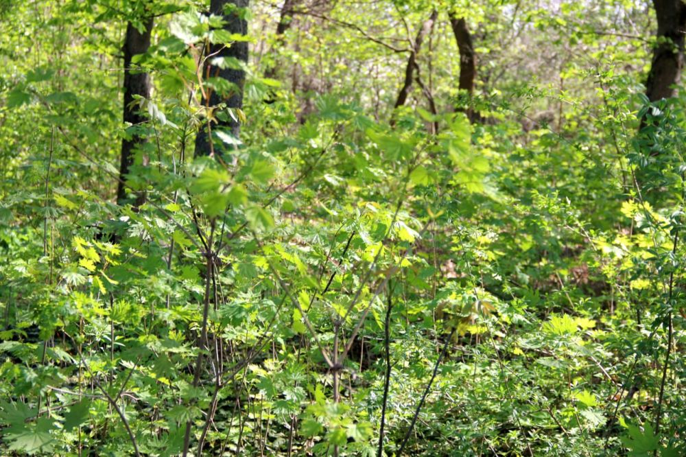 ��� ����� ����� ������� ����� � ������ ������� � ������� ����������