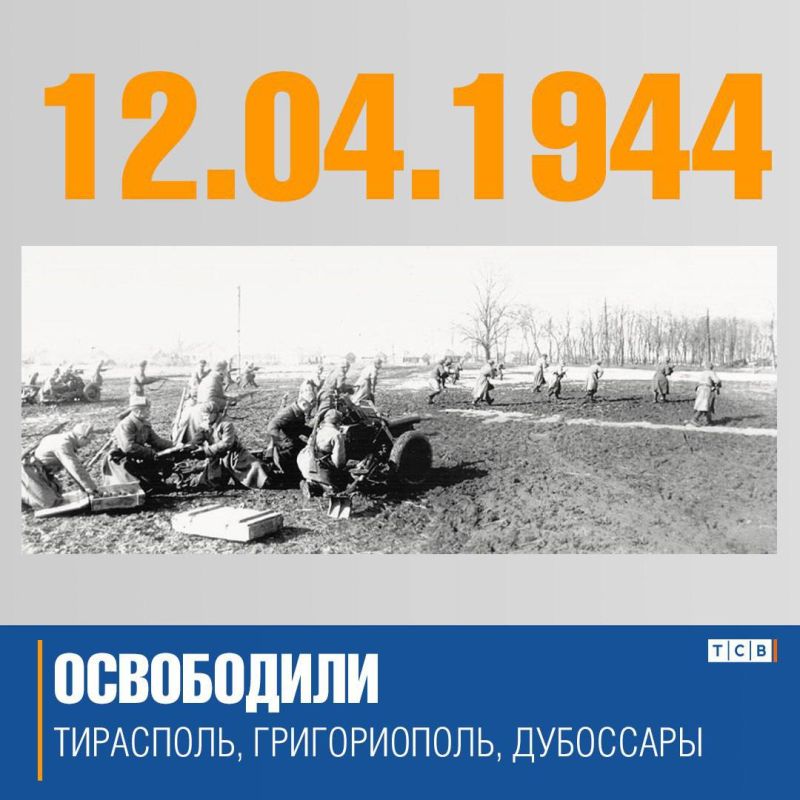 � ���� ���� 80 ��� ����� ���������� ���������, ���������, ��������� � ������������