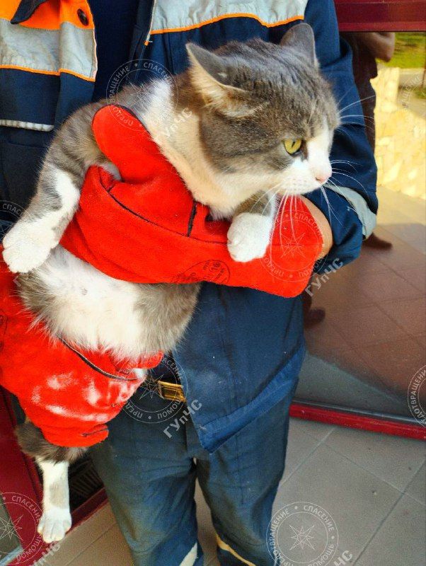 � ������� ��������� ������� ���� ����� ����� �� ������ �������