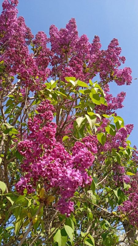 ���������� �������� �������� �� �������