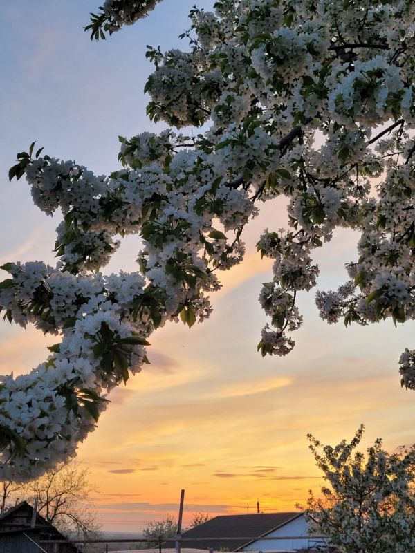 ���������� ����� ��� ����� ����� ����������������� ������