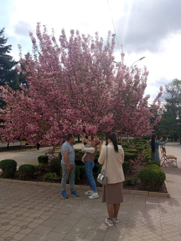 � ���������� ������� ������