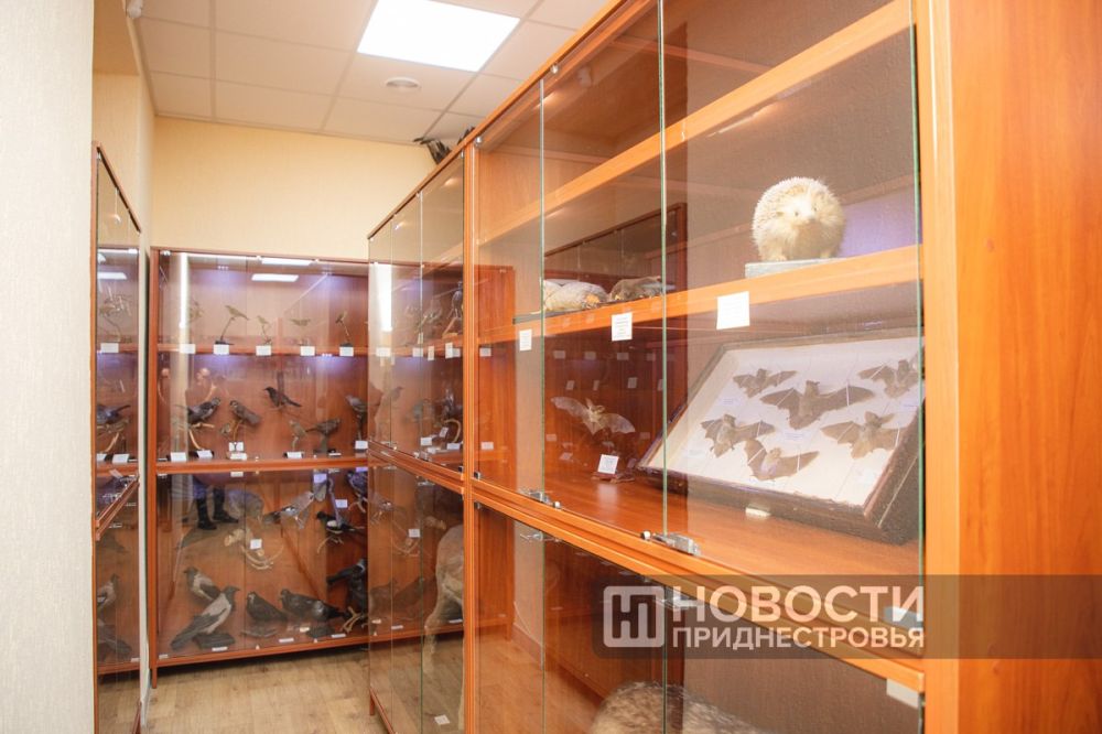 � ��������������� ������� ��� ���������� ����� - ������������� � �������-����������������