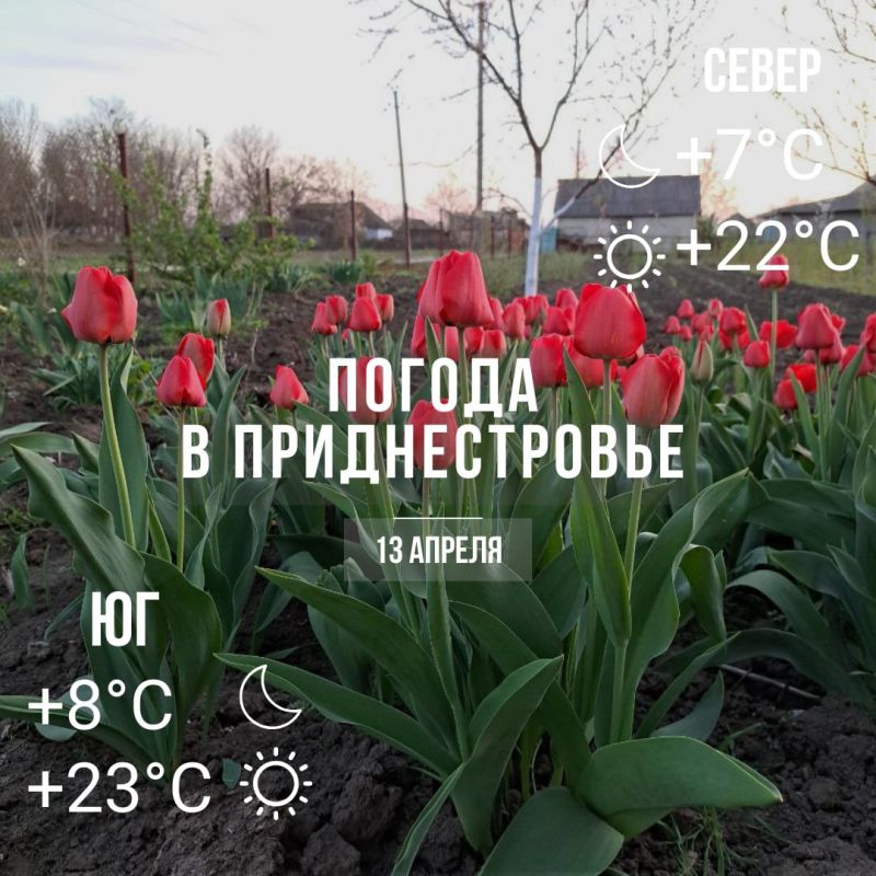 ���� � �� +23��. ��� �������