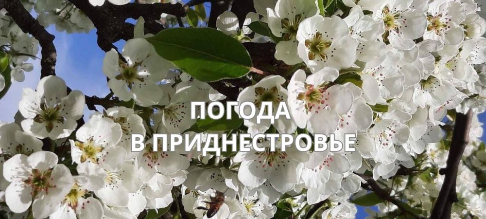 13 ������ ��������� ���������� ����������, ��� �������