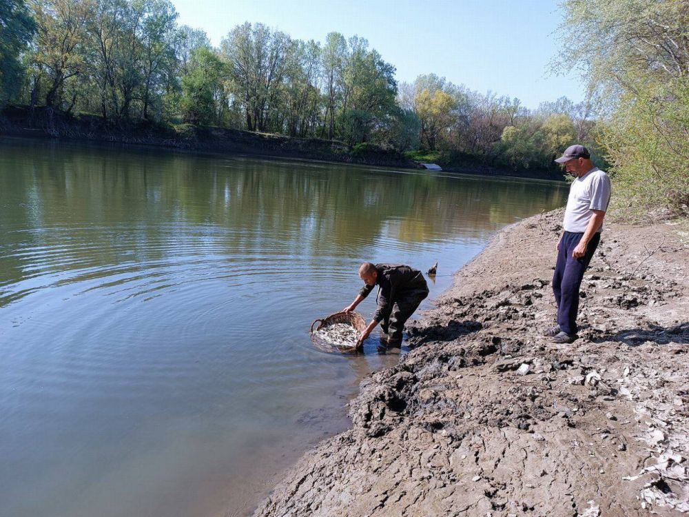 � ���������� ������� �������� ���� ���������� ��������