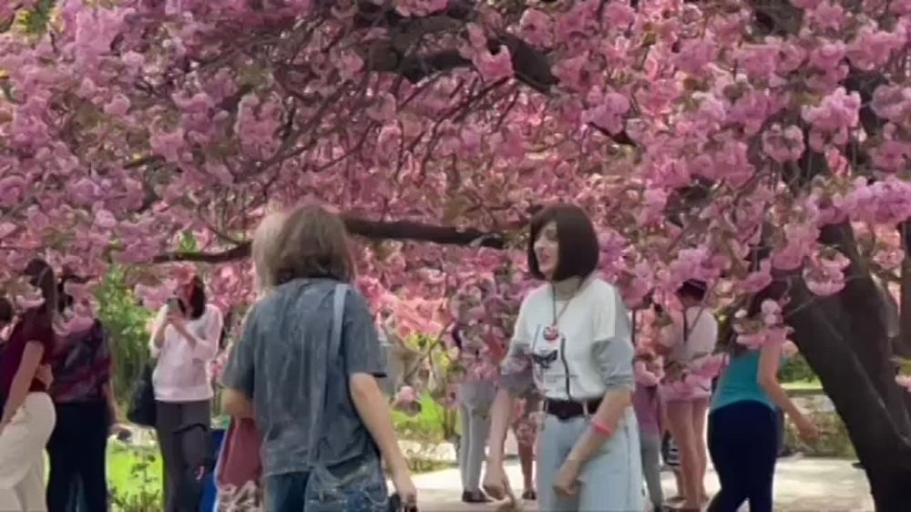 � ������������� ������������� � ������ � �����������