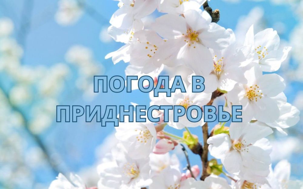 14 ������ ��������� ���������� ����������, ��� �������