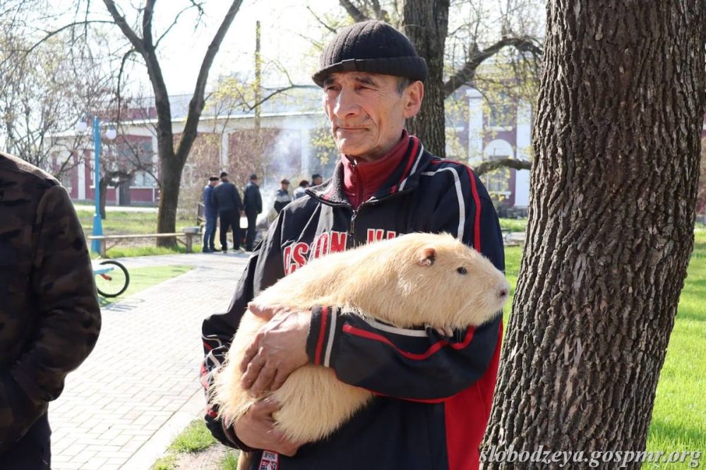 20 ������ � �������� ������ ������� �������� ���� � ��������