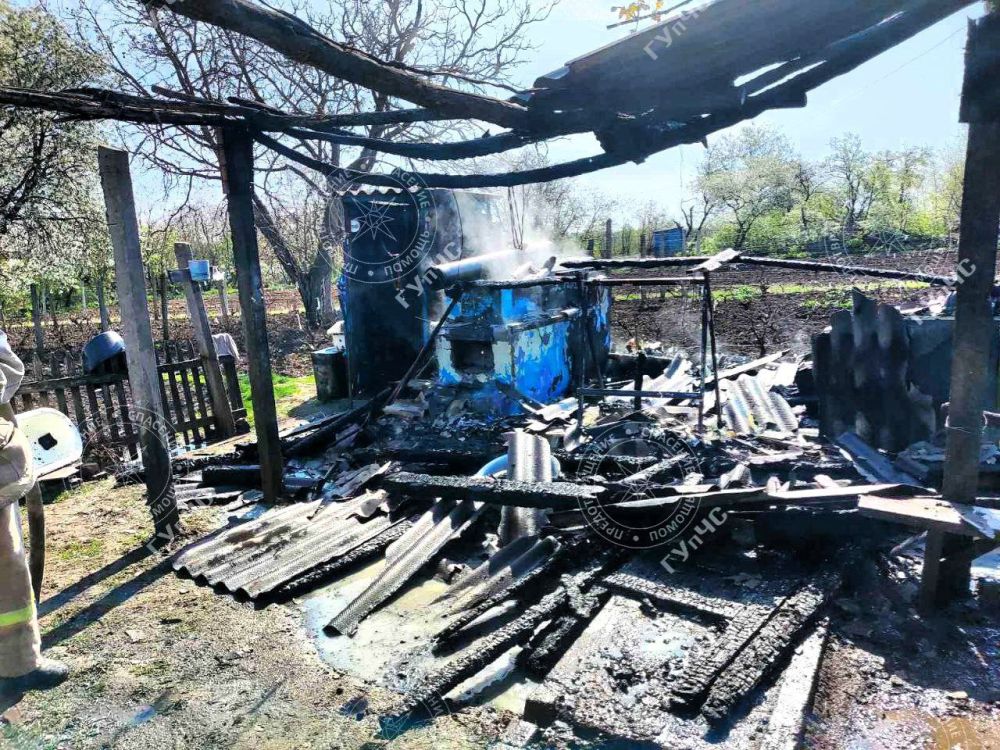 �� ������ ����� �������� ���� ����