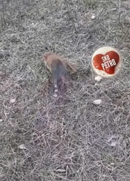 � ������, ���� � �����, � ���� �����