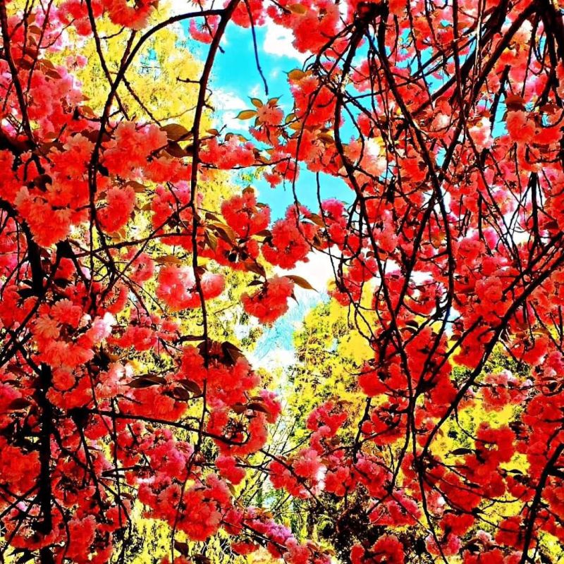 ���������� ���������� �������!