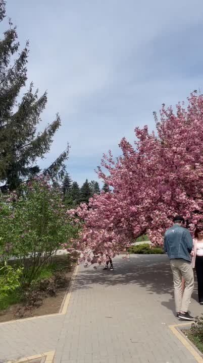 � ��, � �� ����� �������� ������