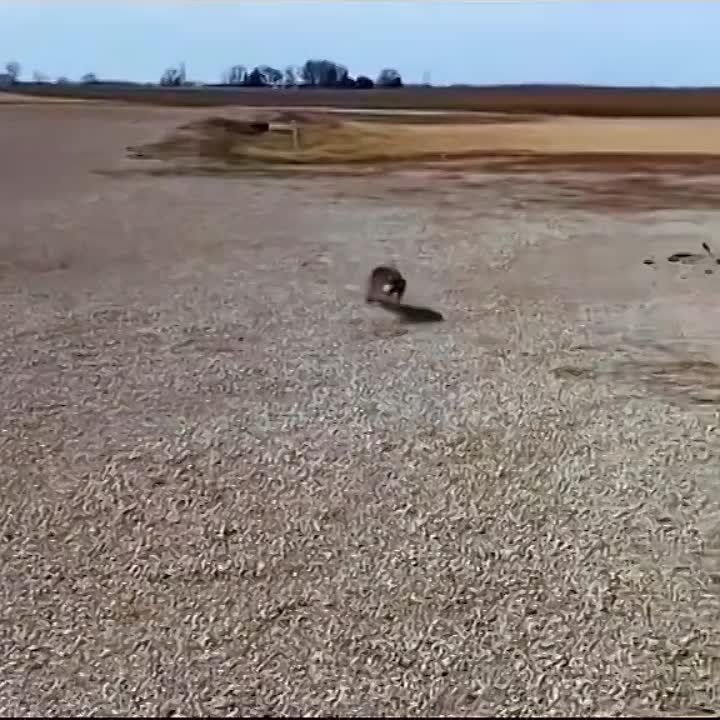 ���� ������� ���� ���������� � ���������������