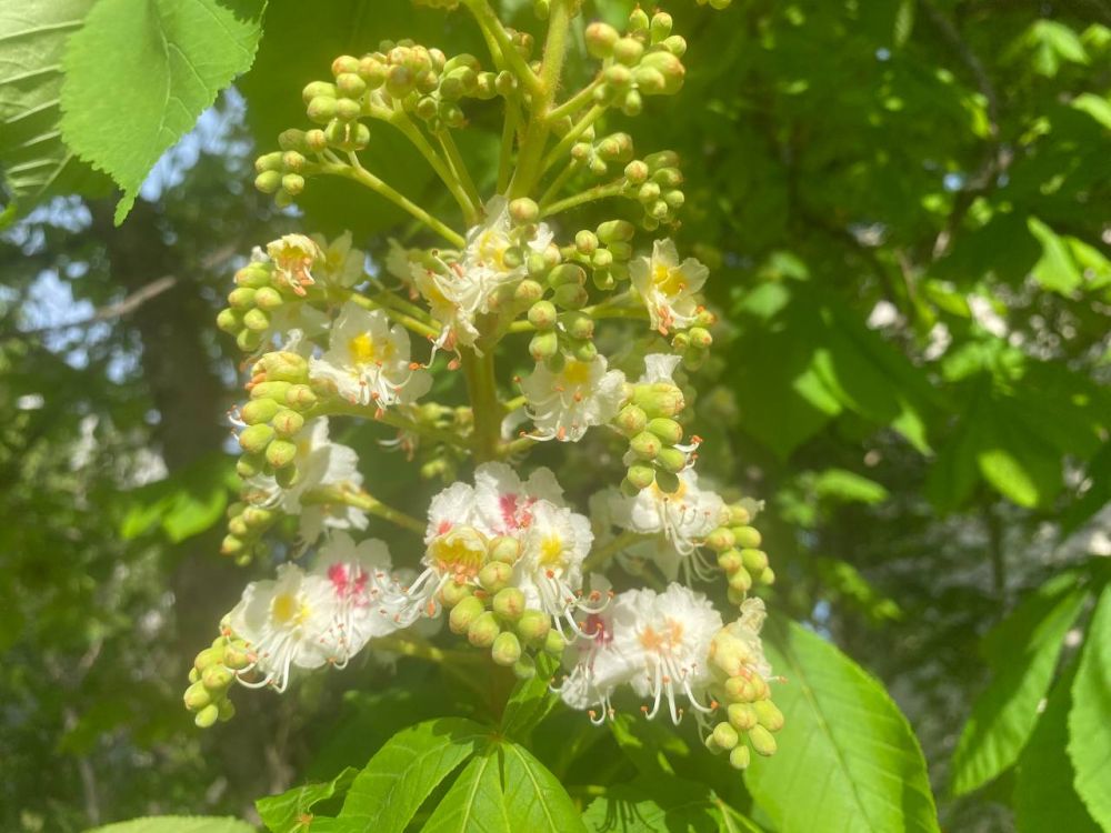 ��� �������� ��������� ����� �� ����� �� � ��, 16 ������ ��������� ���������� ����������, ��� �������