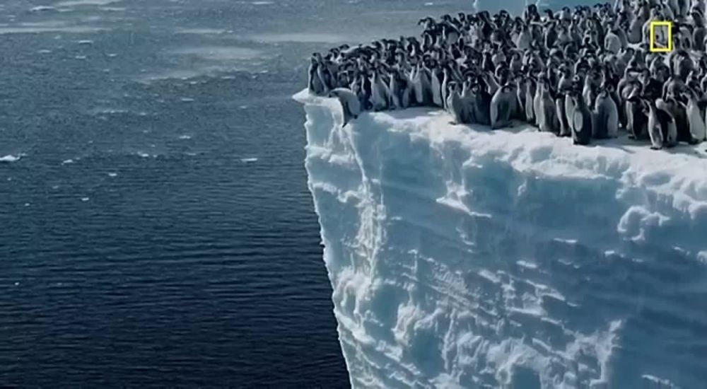 ������ ������ ������������� ��������� ������� ������� ���������� National Geographic