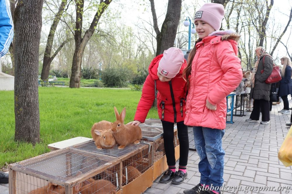 20 ������ � �������� ������ �������� ��������-������� �������� ���� � ��������