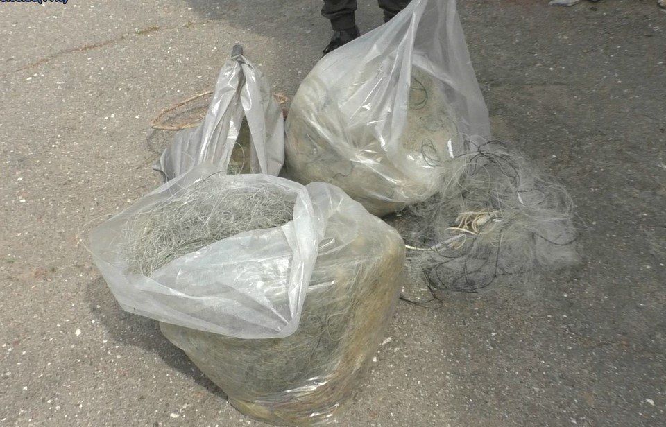 ������� ����� � �������� ������� ������������� ������ ����� 11 ������ �������� ���� � ����������� ������ ����