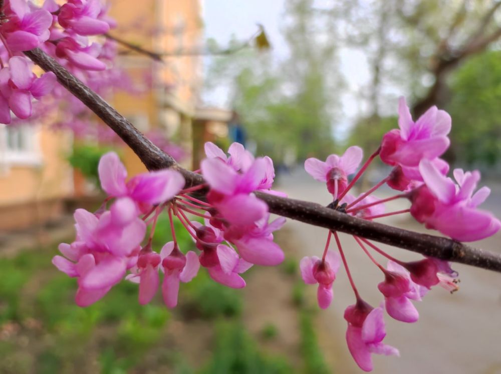 ������� ������. �������, 15 ������, ��������� ���������� ����������, ��� ������������ �������