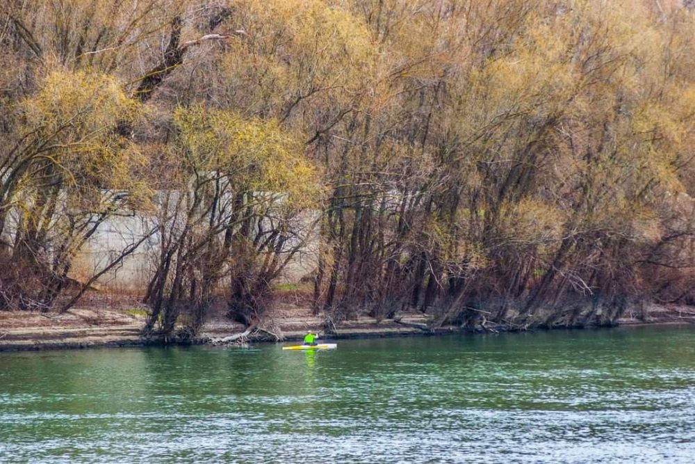 ���������. ������ �� �������