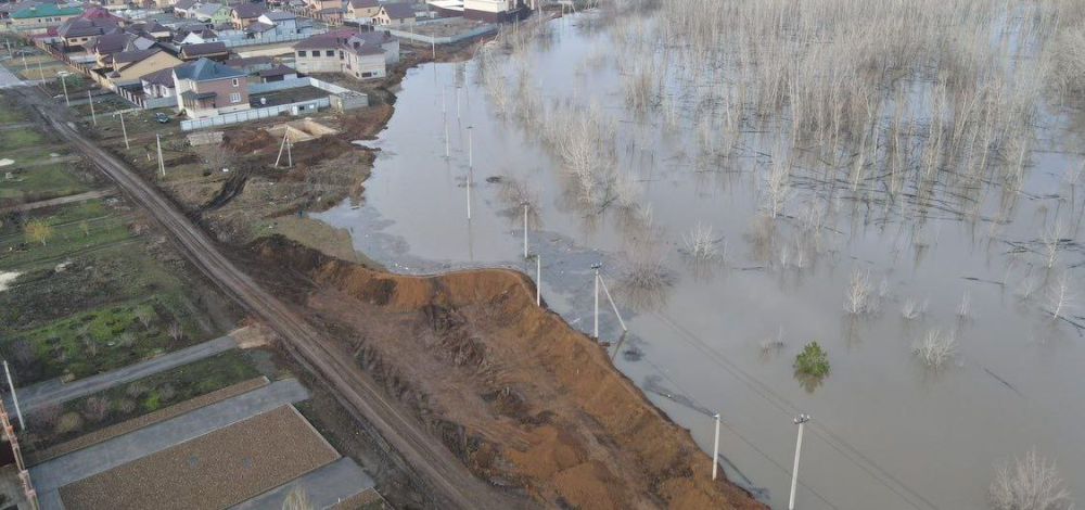 ��� ���������� ������ ������ �������������� ��������� �����, ������� ������ �� ���� �� ����������