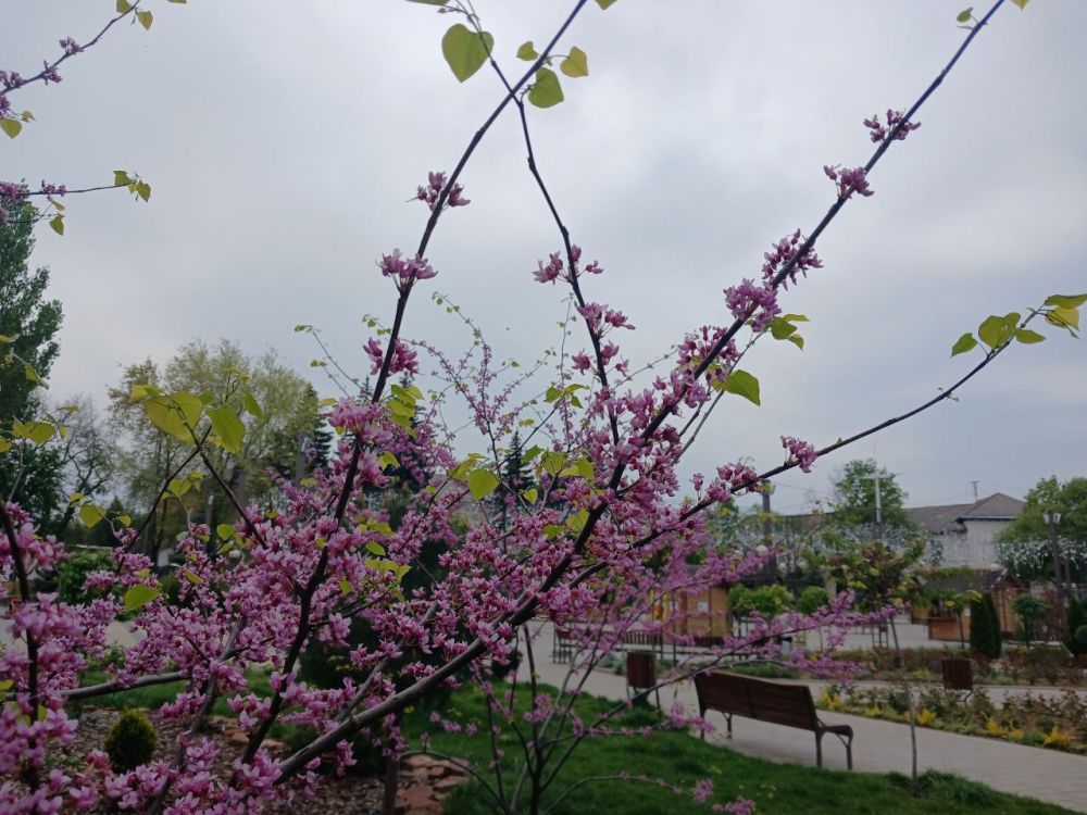 ������. ���������� �������� ��������, ������� ��������� �������� �������� �����. �� ������ ������