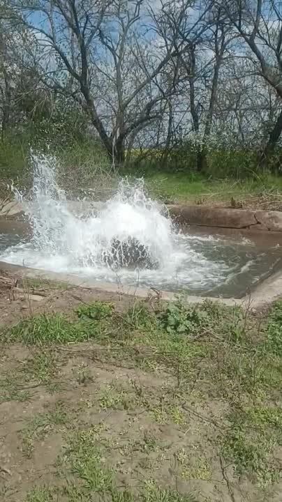 ��������� �������� �����