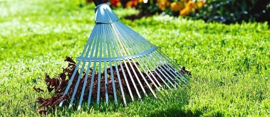 �������� ����������� �������� ����������������� ����������� ���������� � ������ ����� �����������, ����������� ������������ 80-� ��������� ������ � ������� ������������� ����� 1941-1945 �����, ������������ ���� �� ��������� ������������� � �����������