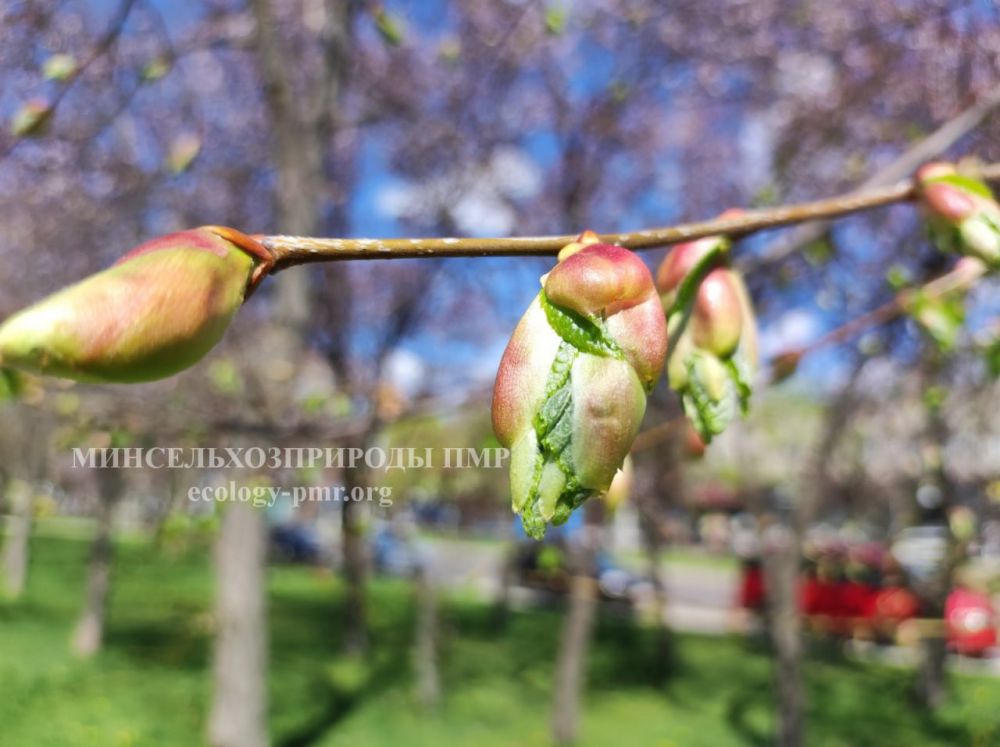 ������� ������. �������, 16 ������, ��������� ���������� ����������, ��� �������