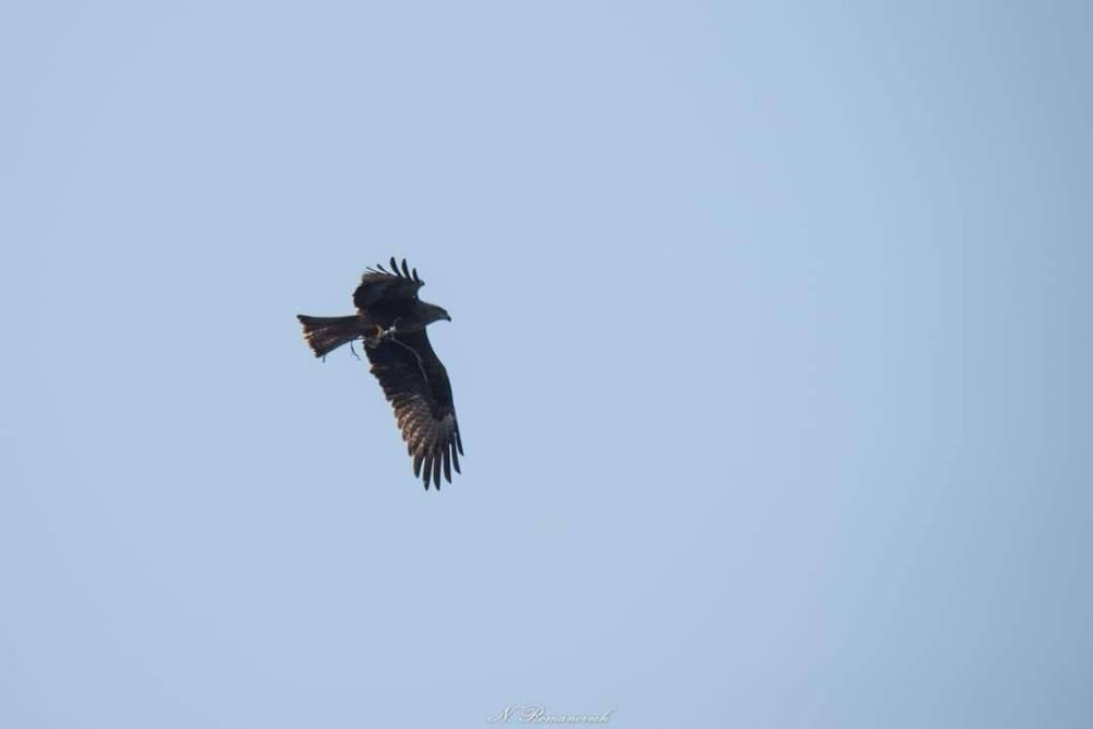 ������ � ����������� ��������