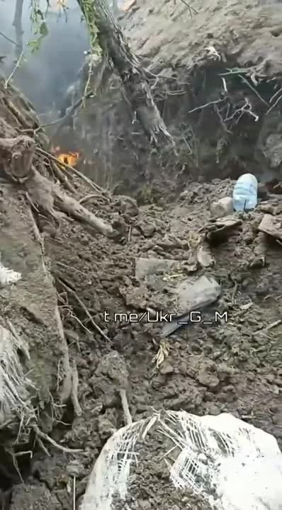 ��������� ������� ��������� ������� �� �������� �������� ���