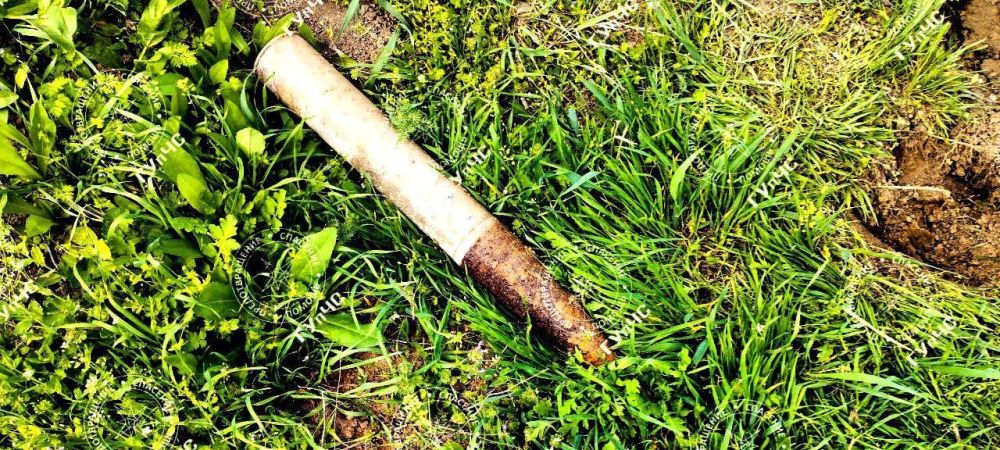 ������� ����� ������ ������� ����� � ���� � ������� ������ ���� ���������