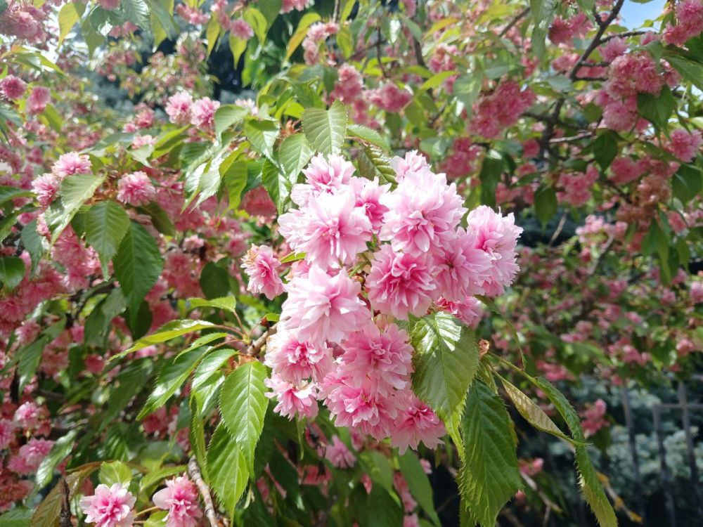 � ����� ������������ �������, ����������� �� ����������� ������������ � �������