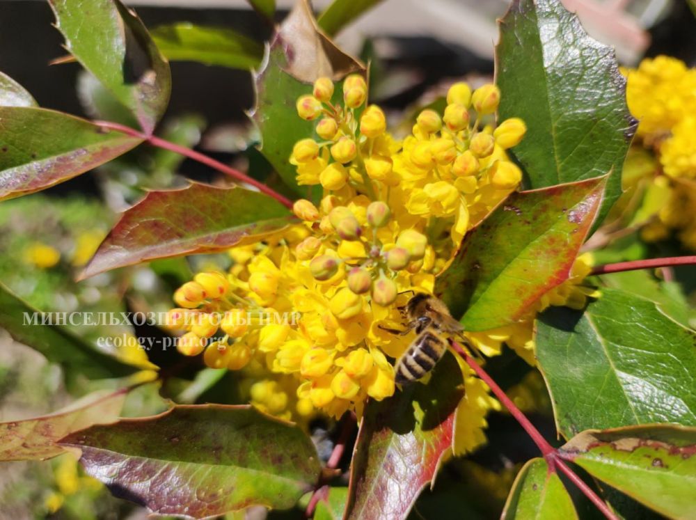 ��������������� �������������: ������� ������ �� ������ 16 - 19 ������