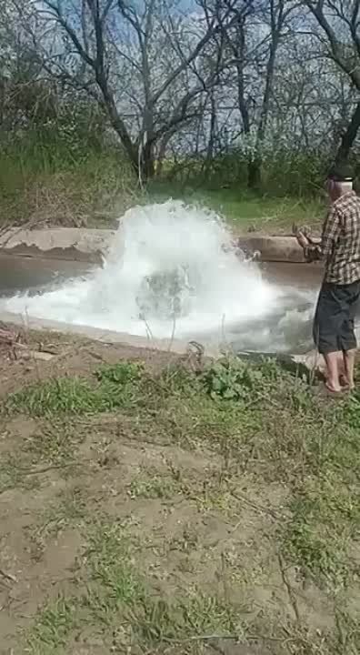 � ������������� ������� �������� �����