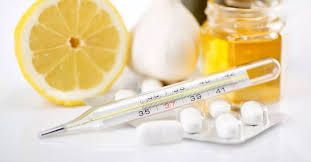 ������������ ����������� �������������