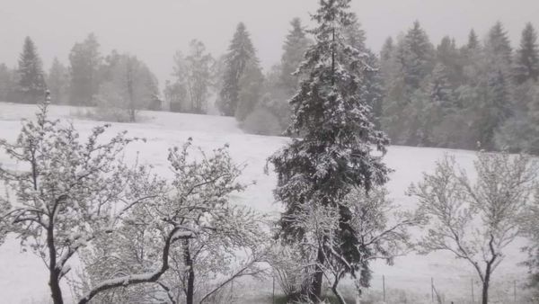 ��-�� ����������� � ���������� ����� ����� ����