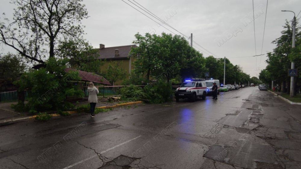 ����������� ������ � �������� �� ���