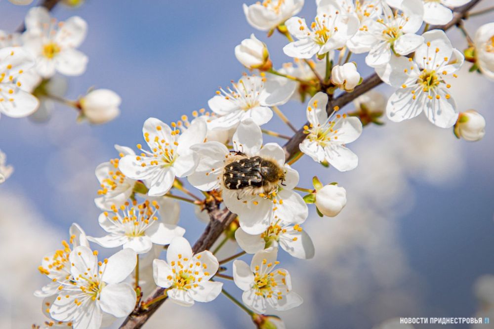 ���� �� ����� ����������, � ���� ���� ��������� ������� ������ �������, � ��� ����� � ���������