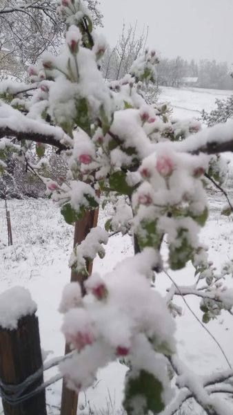 � ������� ����� ����������