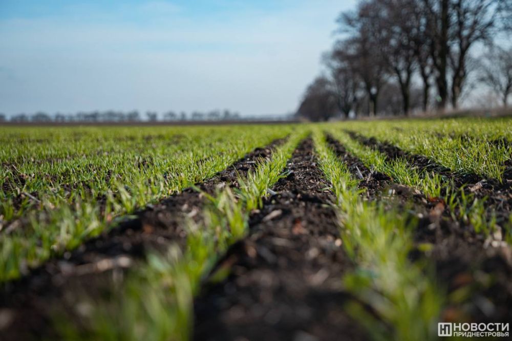 � �������� ���� ������� �������: ��� ������ ����� ������������� �������� ���������, ��� ����������� ������� ��� ��������