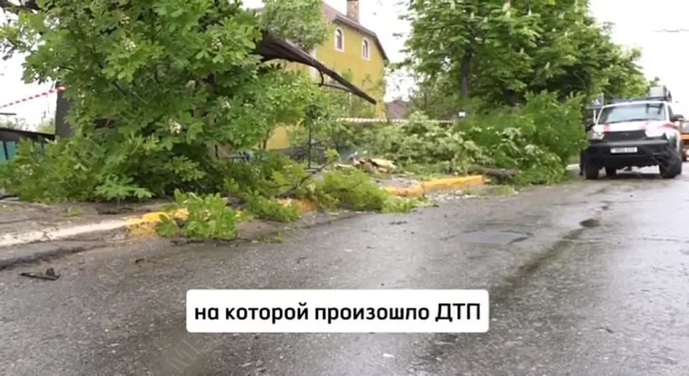 ������ ������. � ������, �� ���� ������� �����, �������� �� 80 �� 100. ������ ���� ������, ���������. � ����� ����, ��...