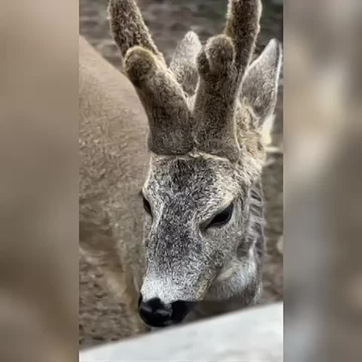 ��� ��� ��������� ���� ��� ����� �����