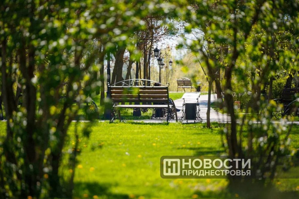 ����� ������ ������ ������ �� ��������� 26 ��� � �������������