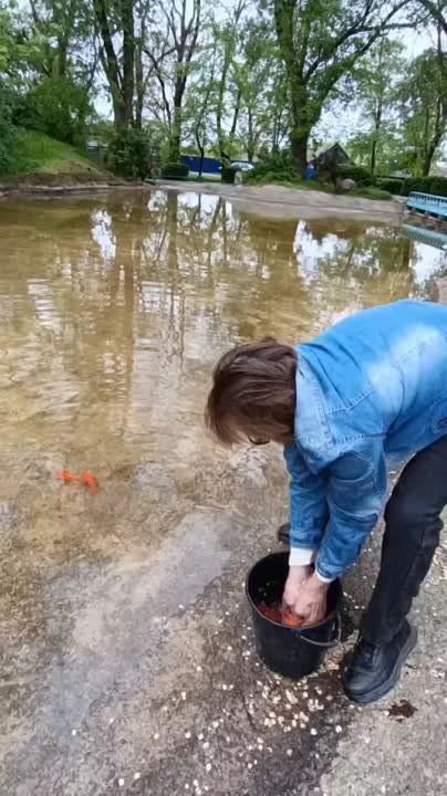 � ���� ����� � �������� ��������� ������� �����