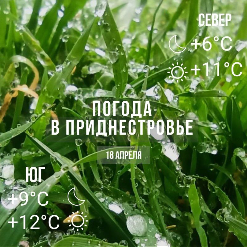 ������� ��������. ���� � �� +12��. ������� ������� �����