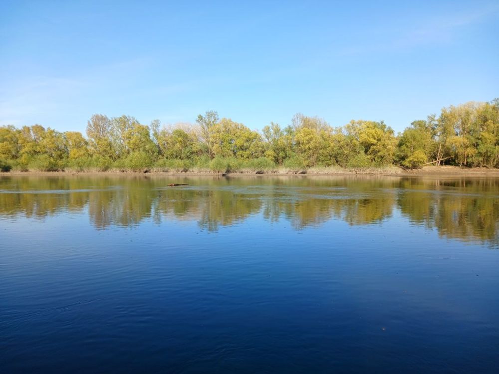 ��������������� �������